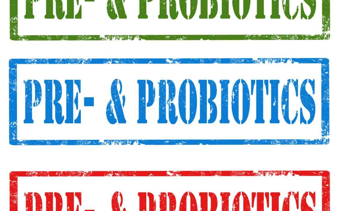 What are pre and probiotics?